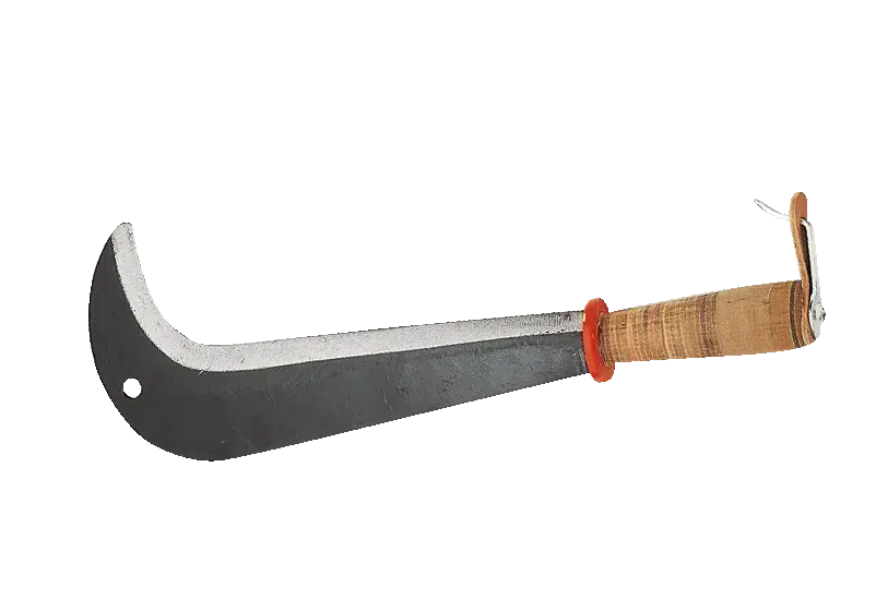 Zwitsers kapmes, 43 cm